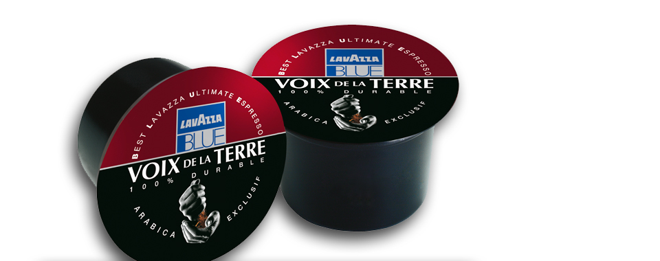 rafael food trading company - coffeiiinshop