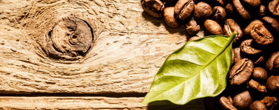 rafael_food_trading_company_espresso und kaffee