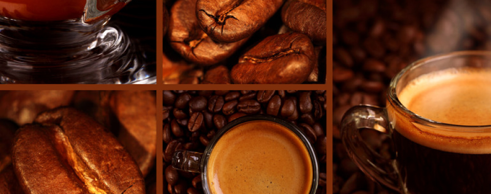 rafael food trading company - espresso und kaffee