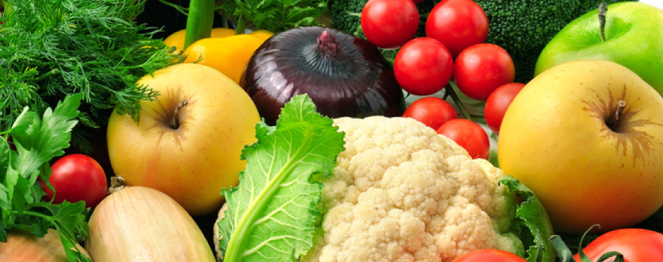 rafael food trading company - gemüsekonserven